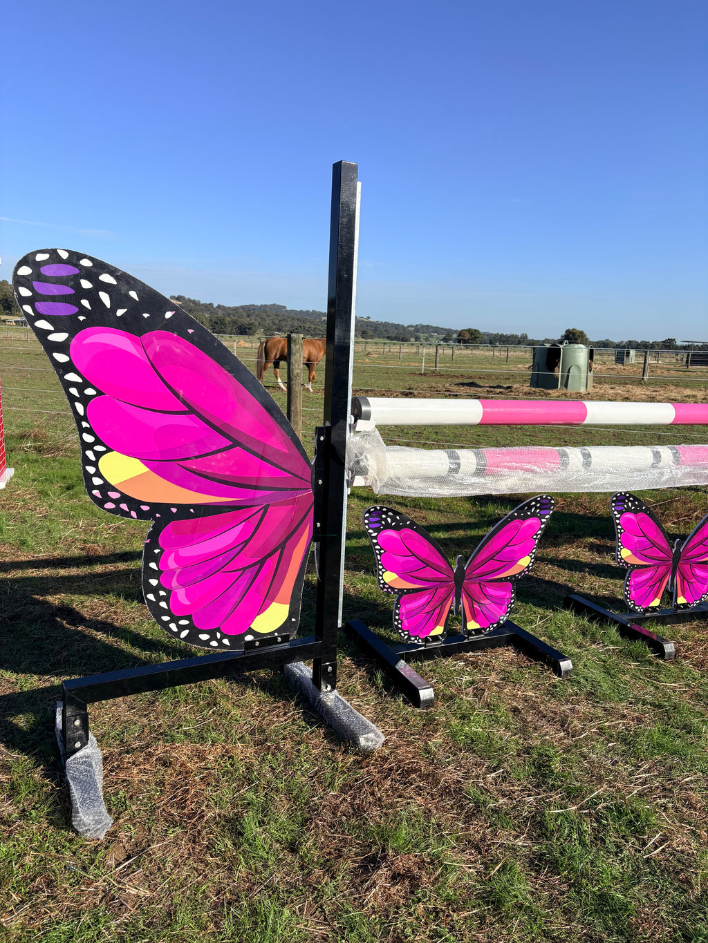 Butterfly full set jump (Pink)
