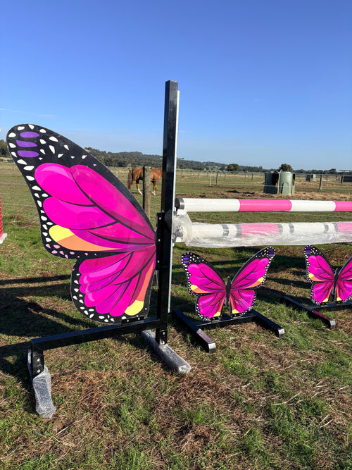 Butterfly full set jump (Pink)
