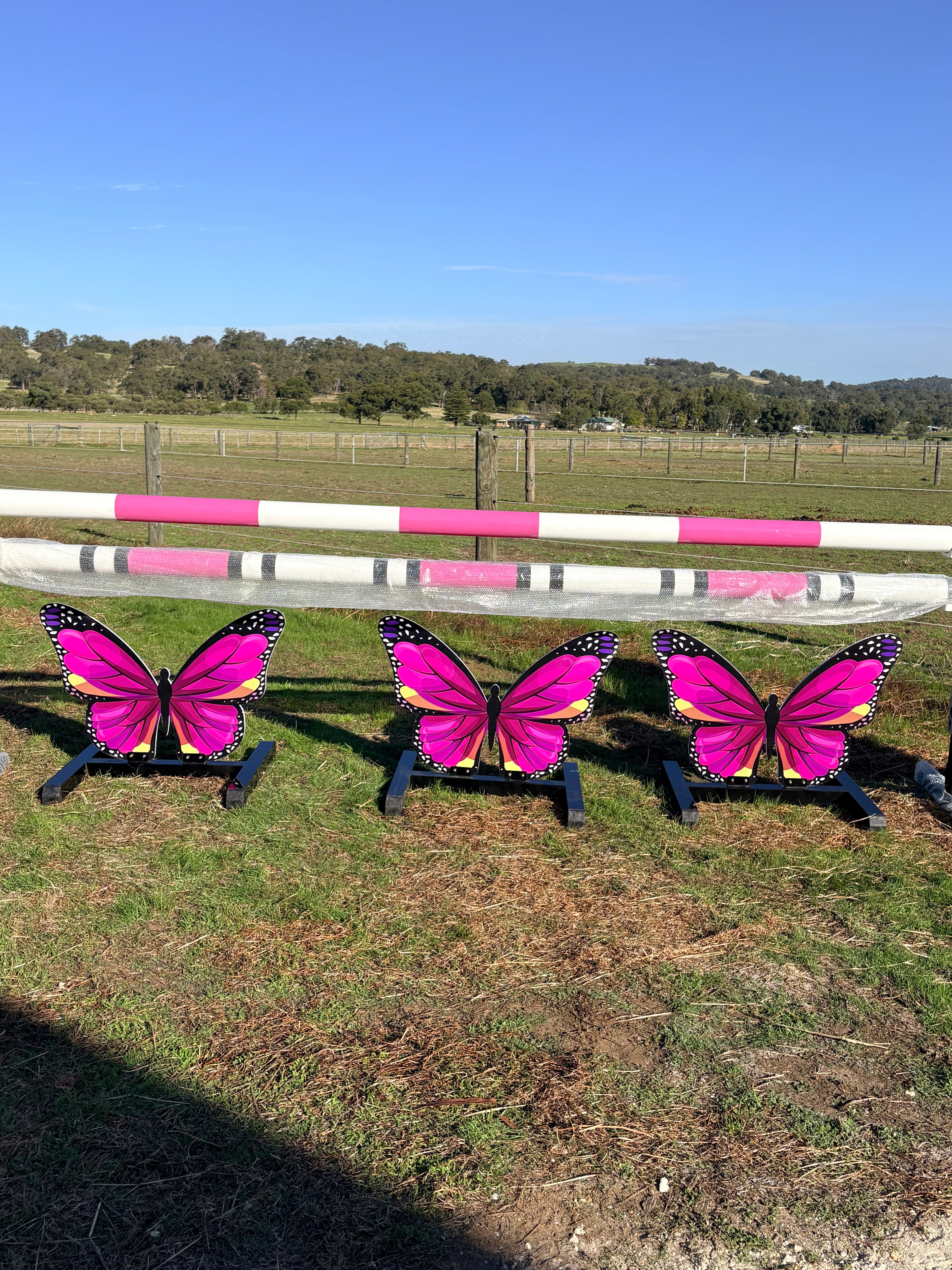 Butterfly full set jump (Pink)