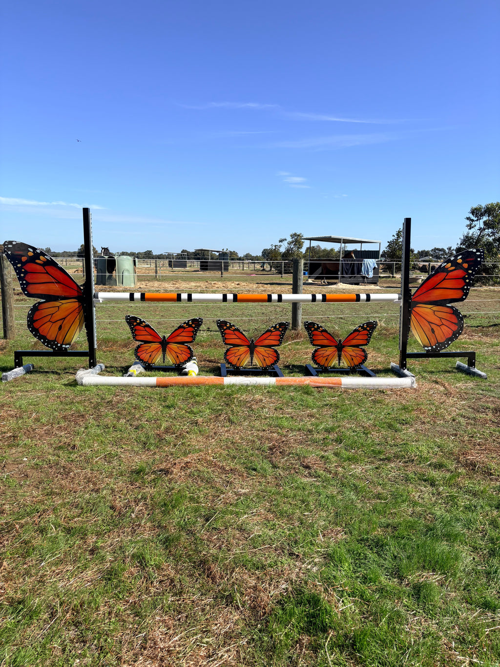Full set butterfly with fillers