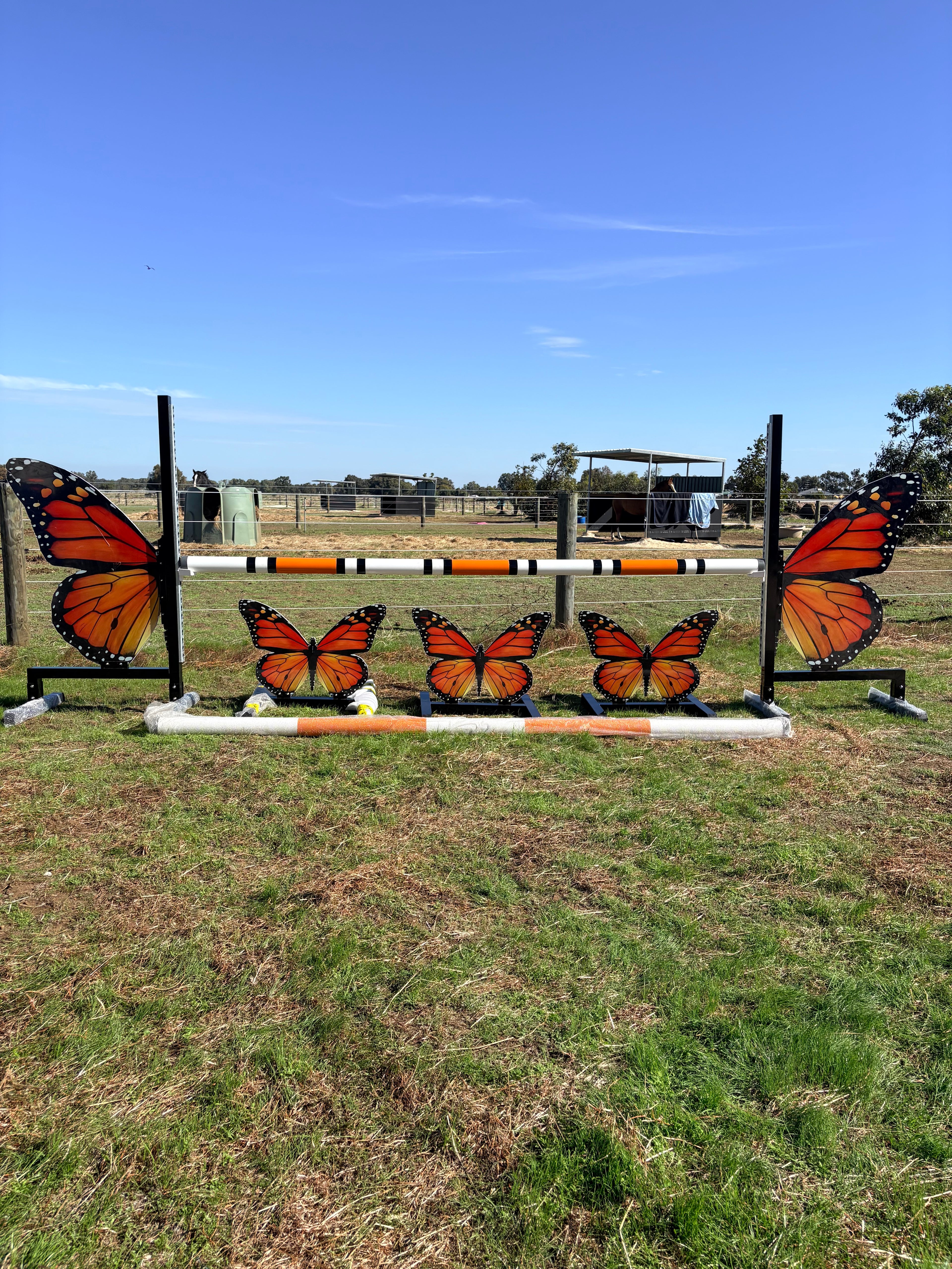 Butterfly full set jump (Orange)