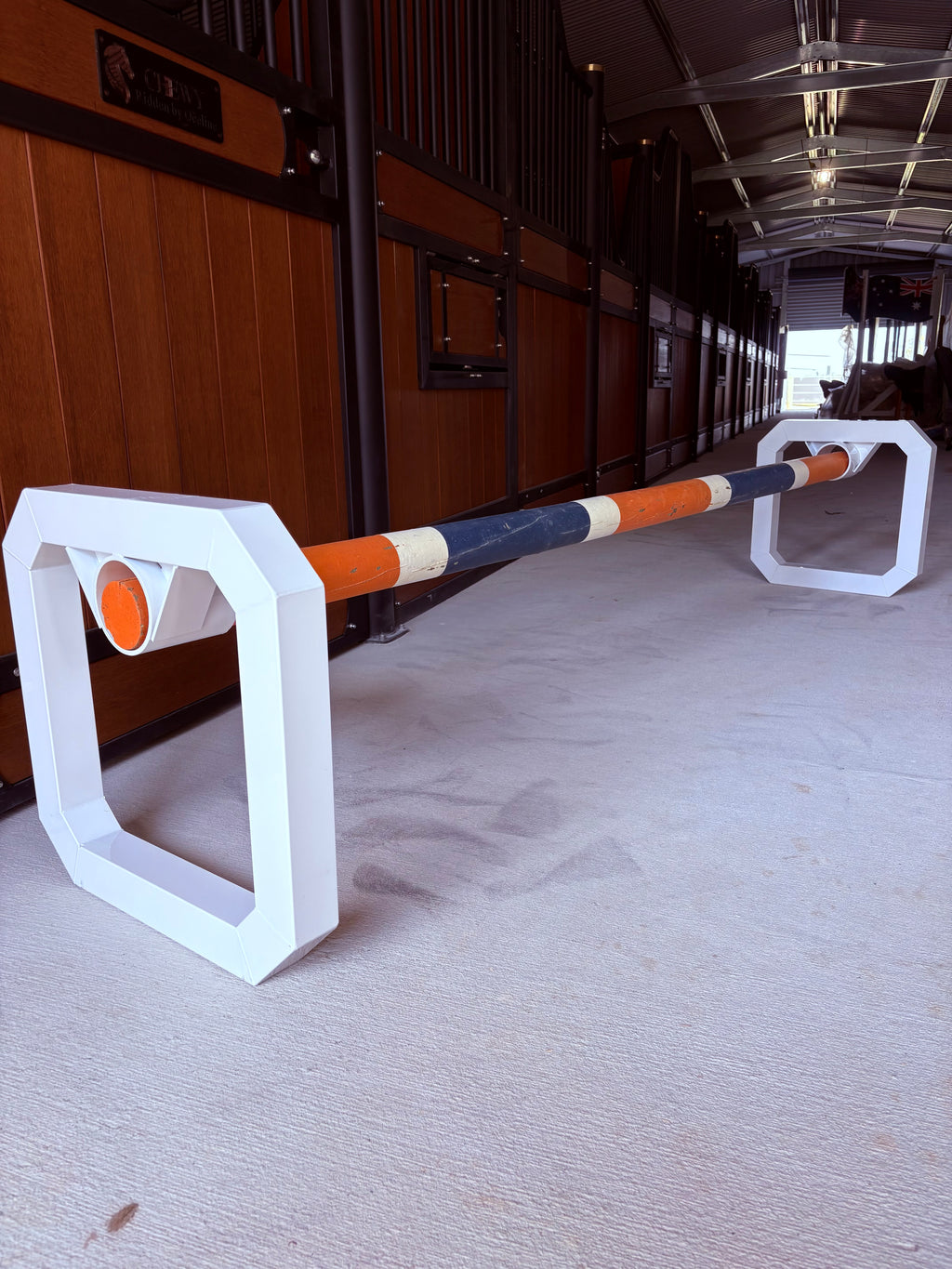 Cavaletti
