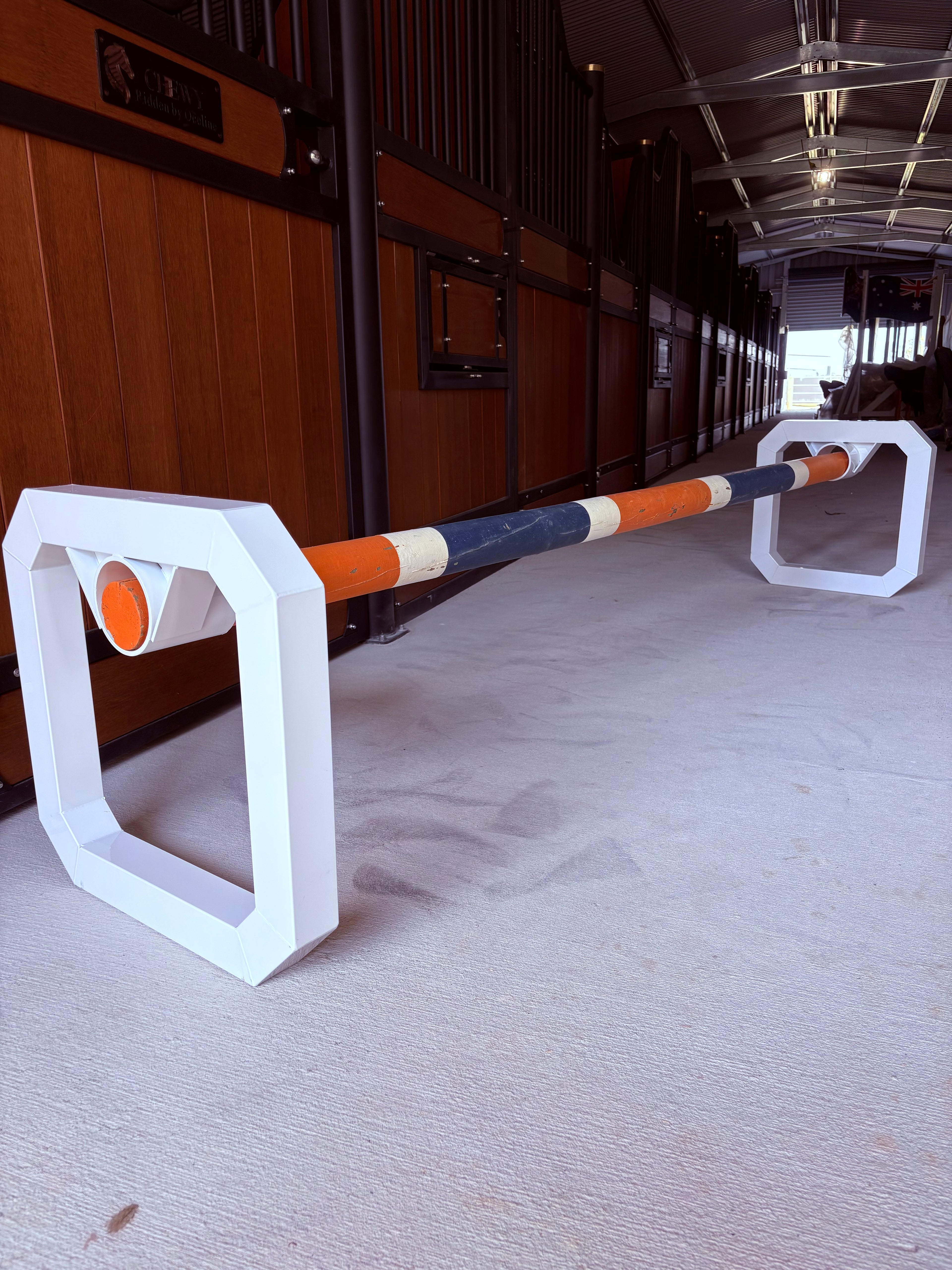 Cavaletti