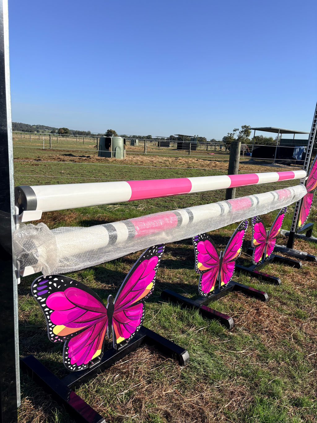 Butterfly full set jump (Pink)