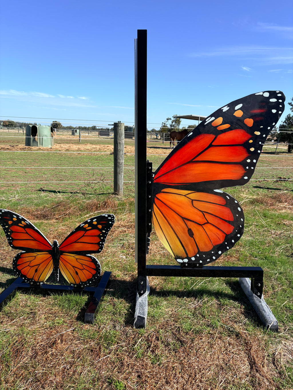 Full set butterfly with fillers