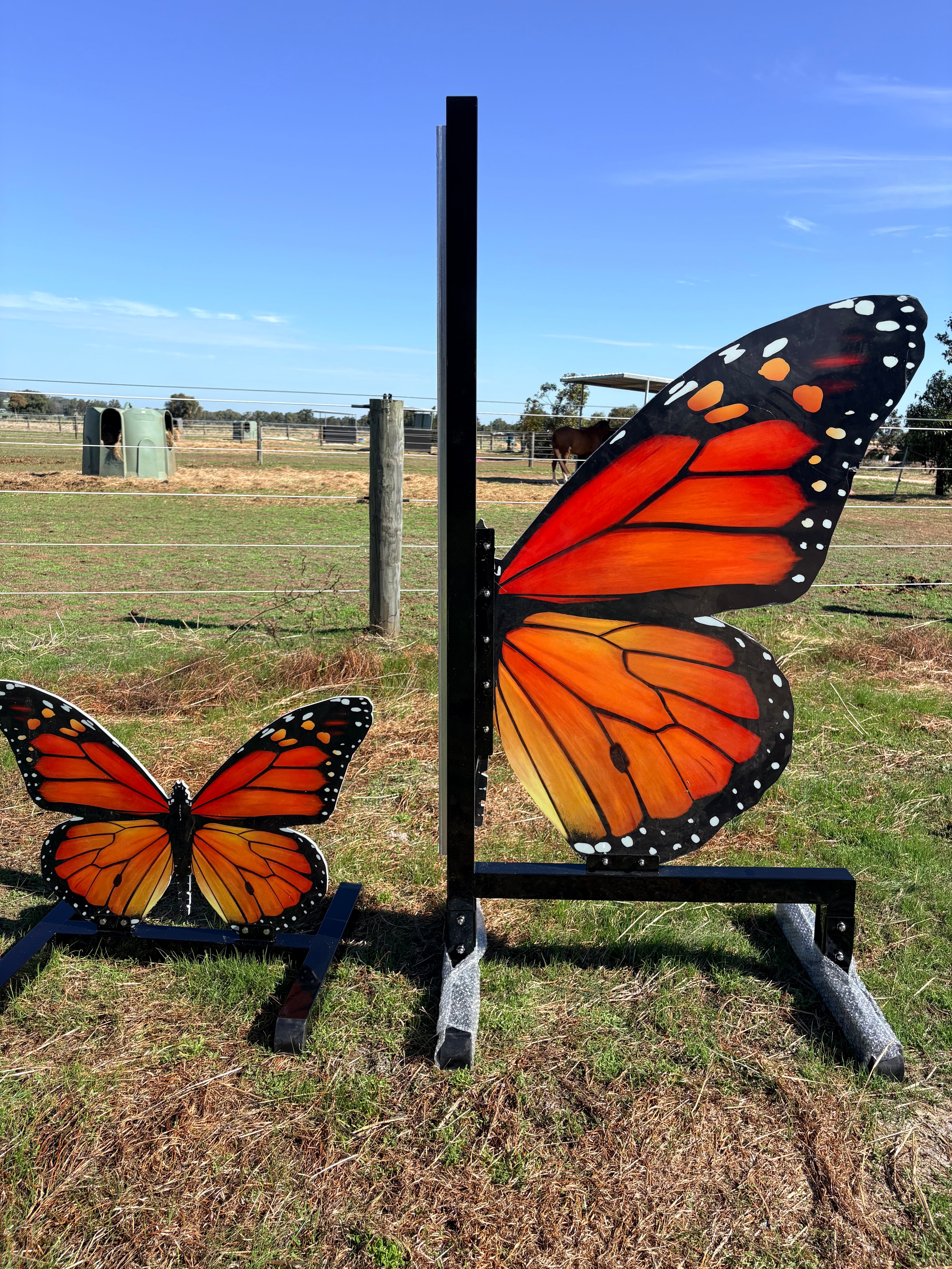 Butterfly full set jump (Orange)