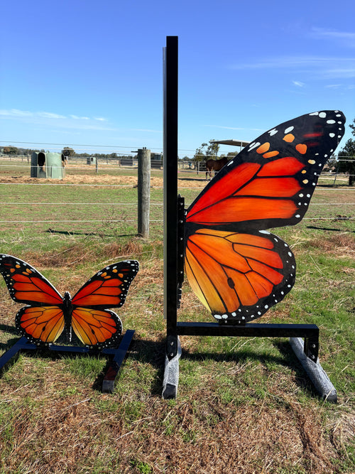 Butterfly full set jump (Orange)