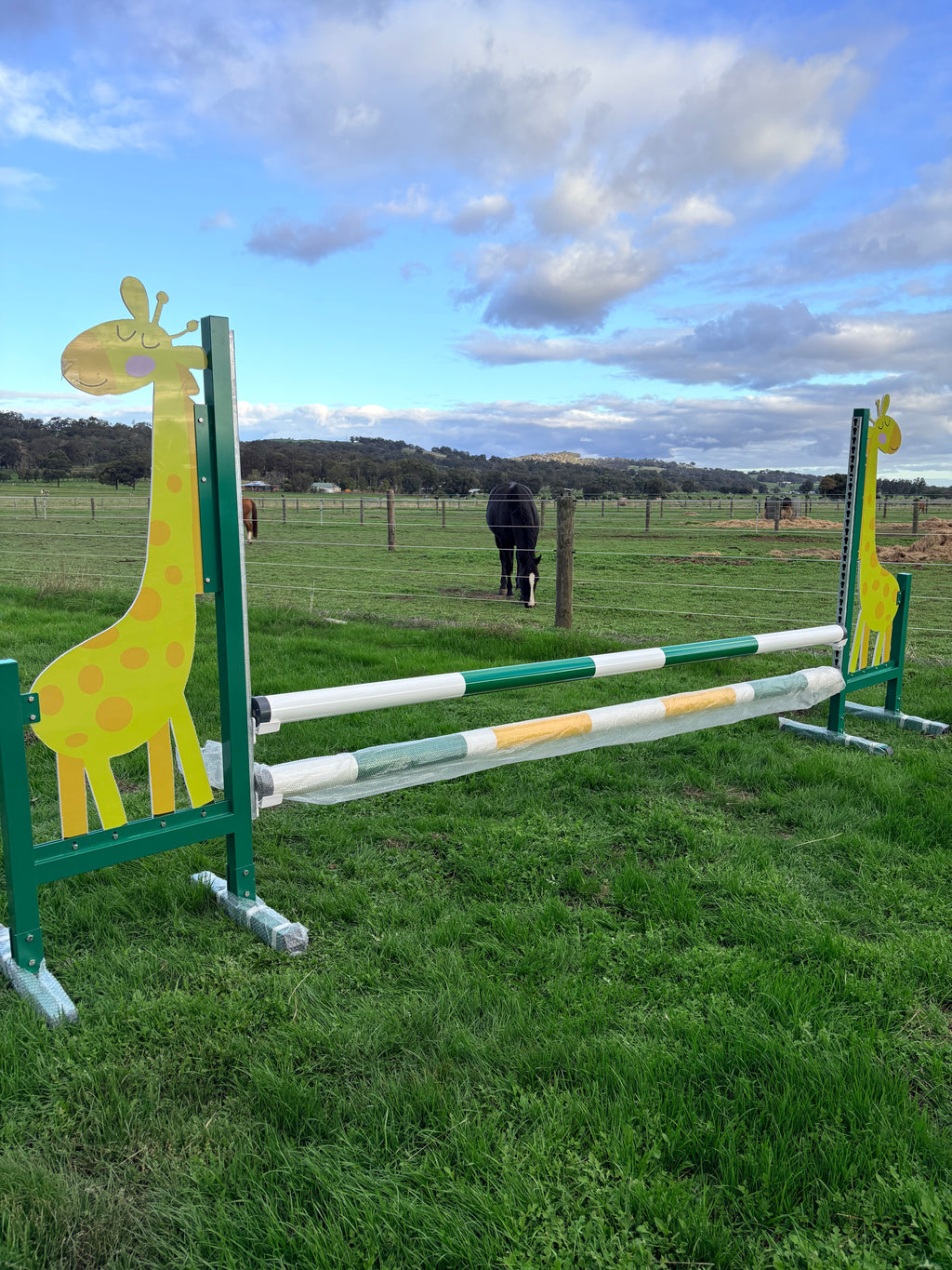 Giraffe full set jump