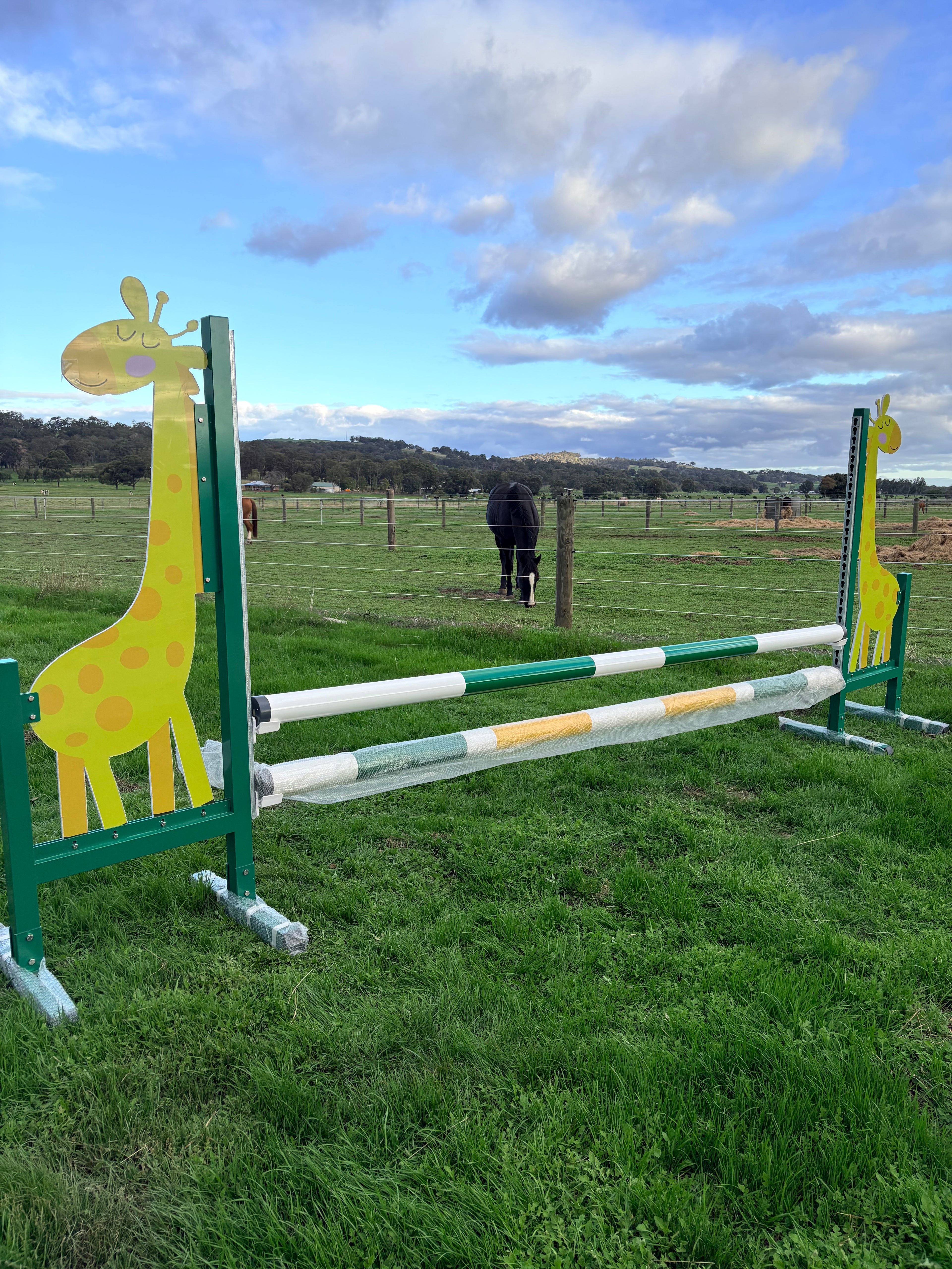 Giraffe full set jump