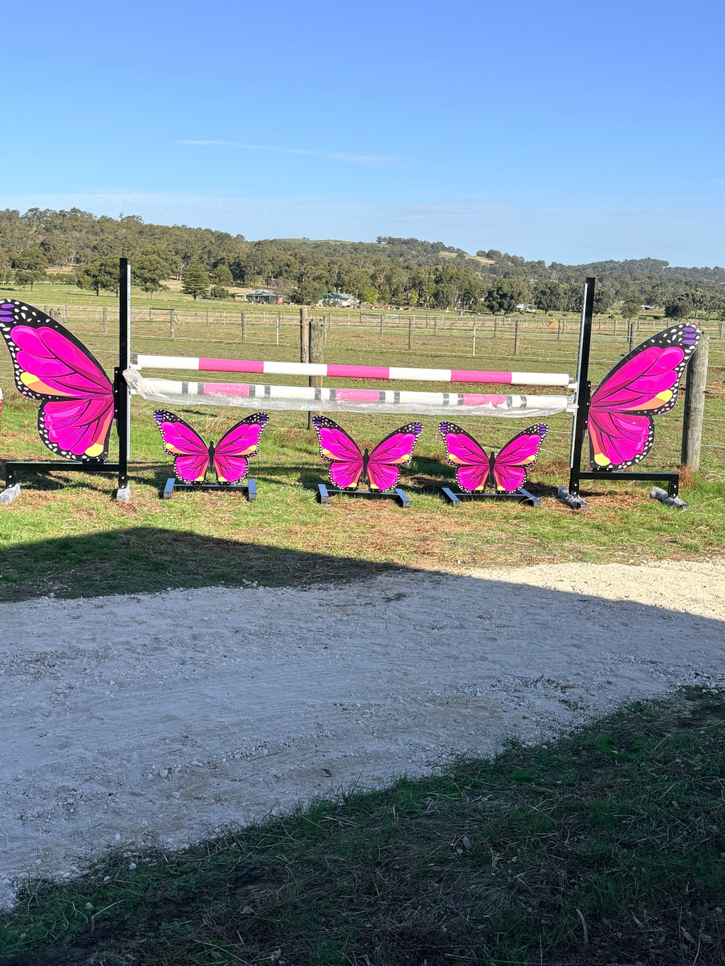 Butterfly full set jump (Pink)