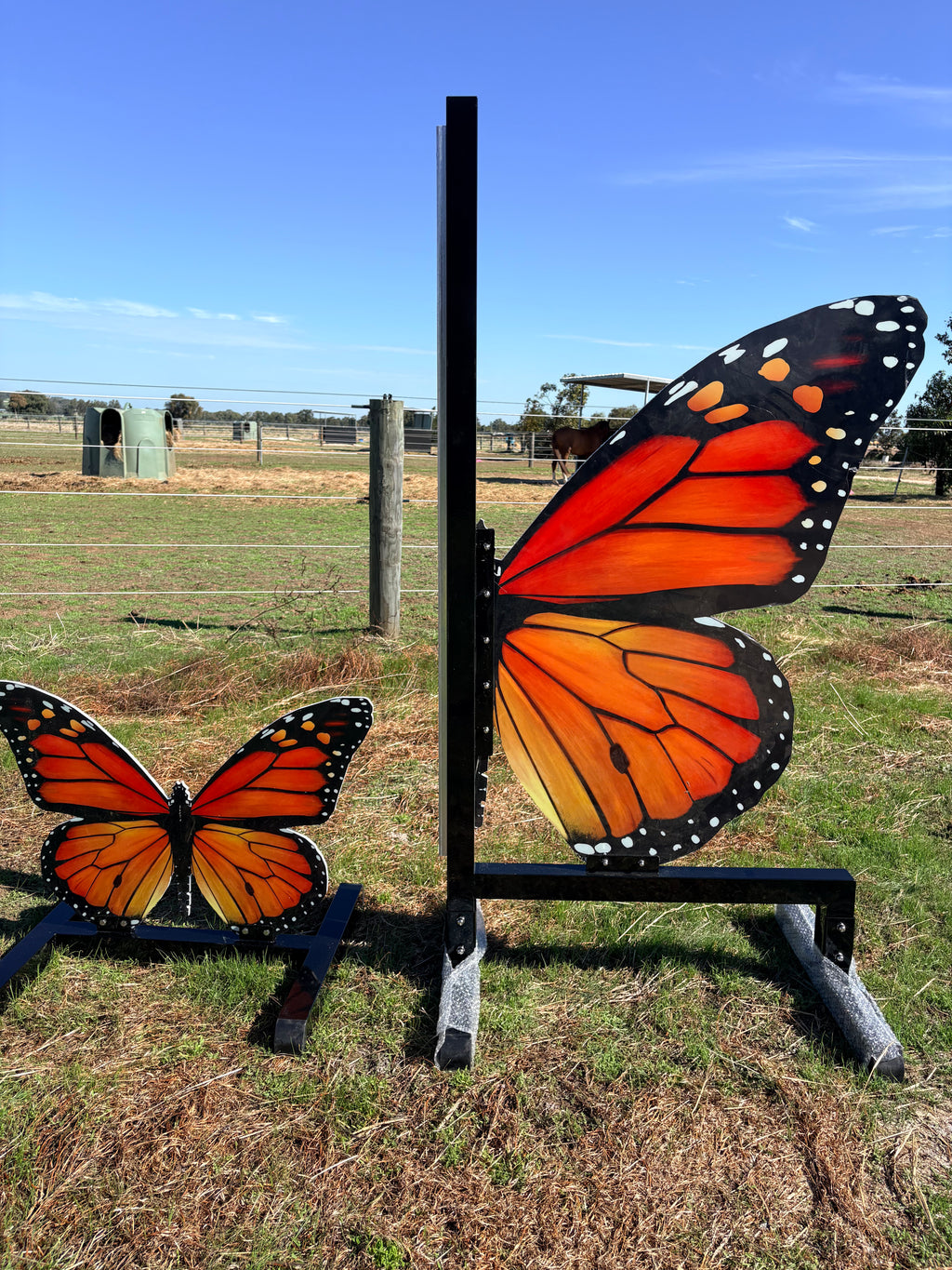 Full set butterfly with fillers