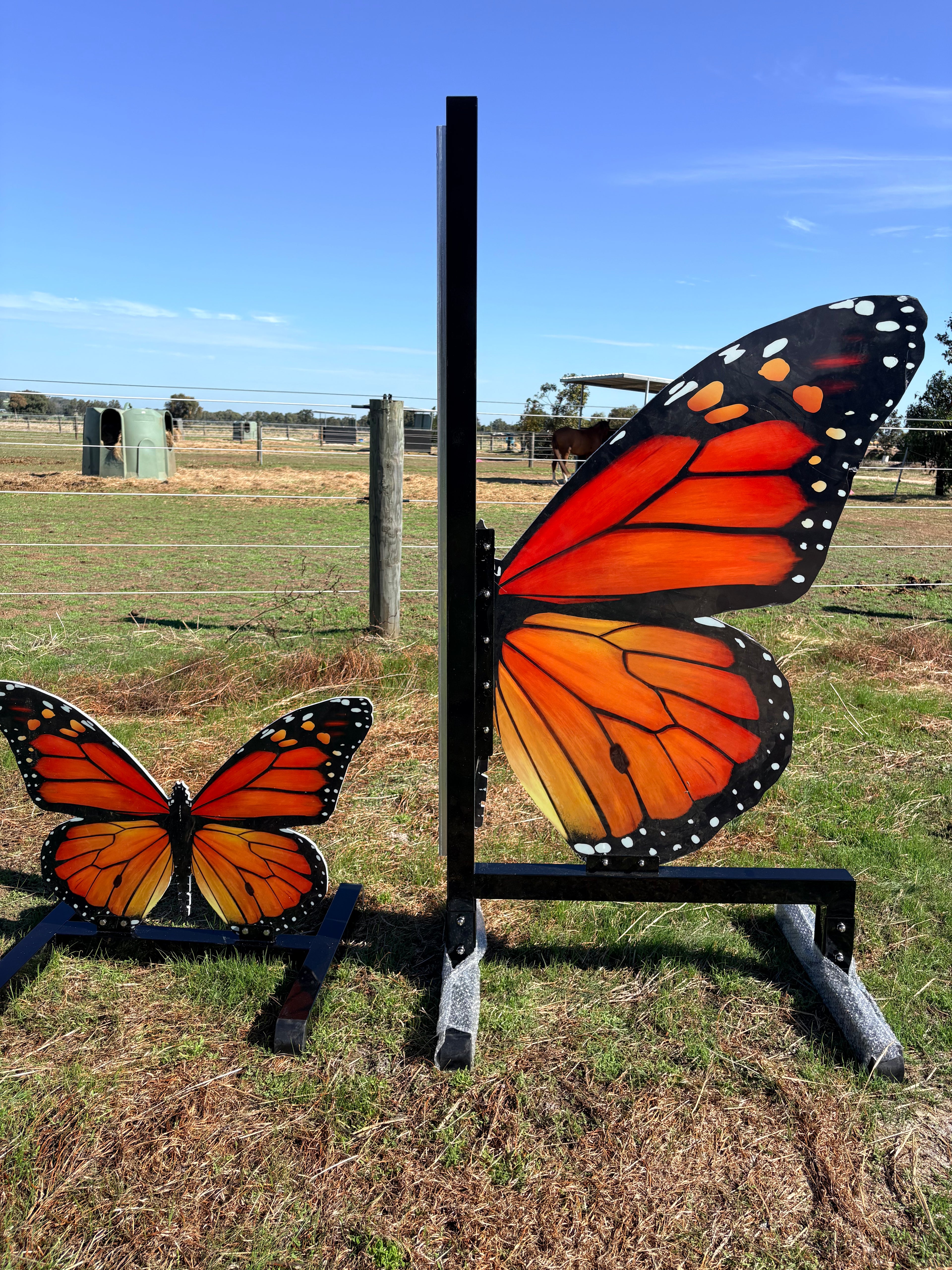 Butterfly full set jump (Orange)