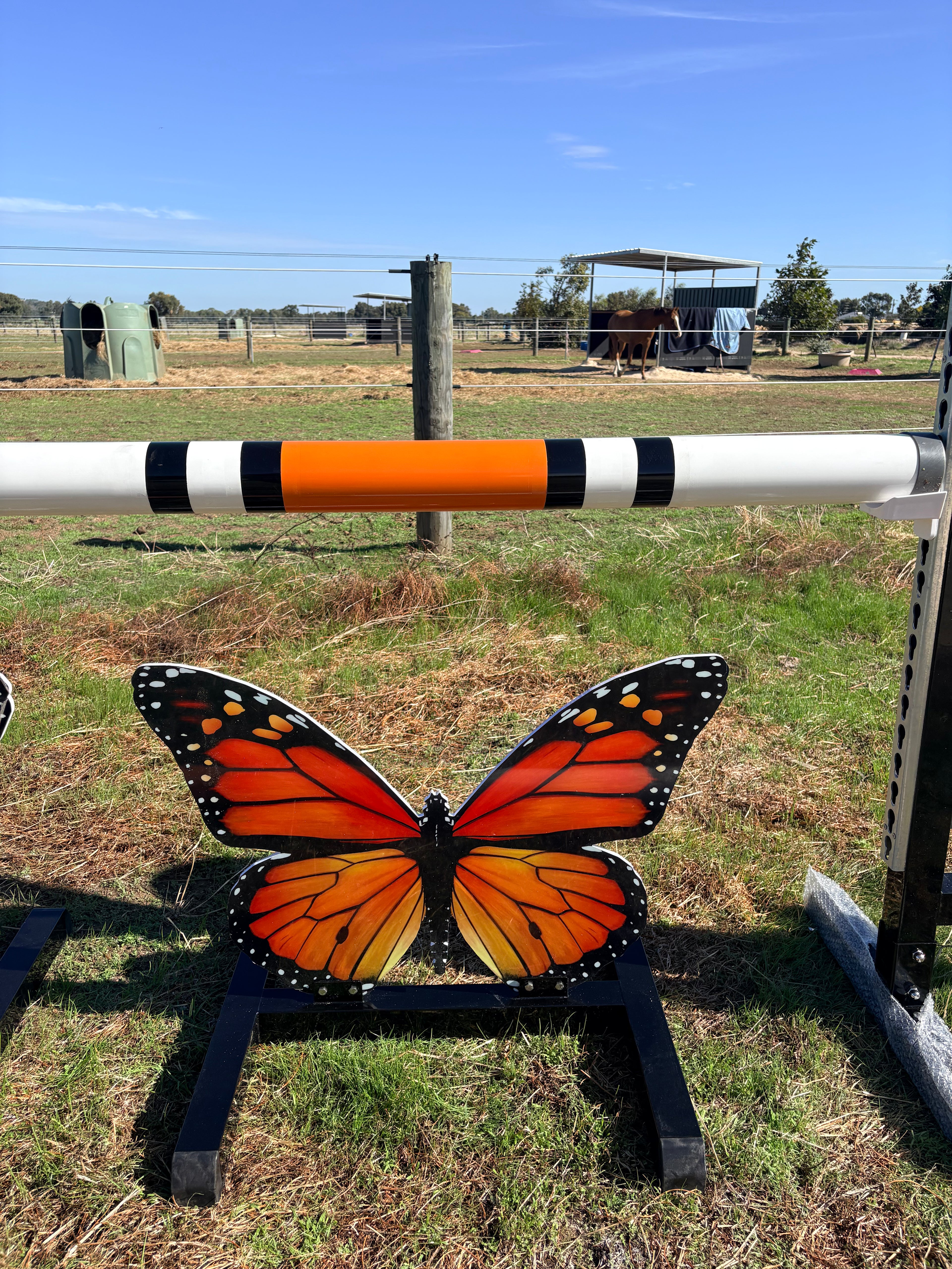 Butterfly full set jump (Orange)