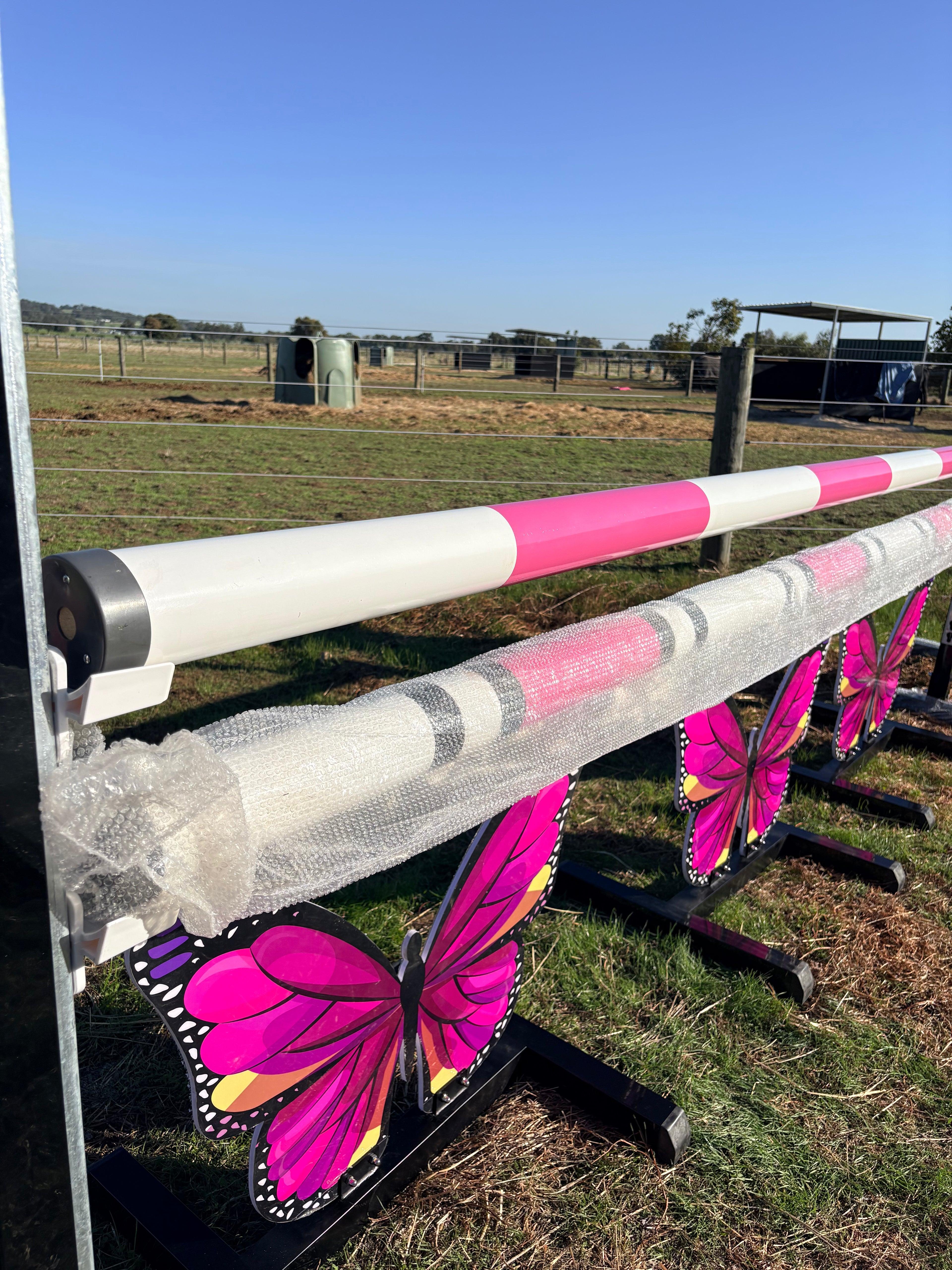 Butterfly full set jump (Pink)