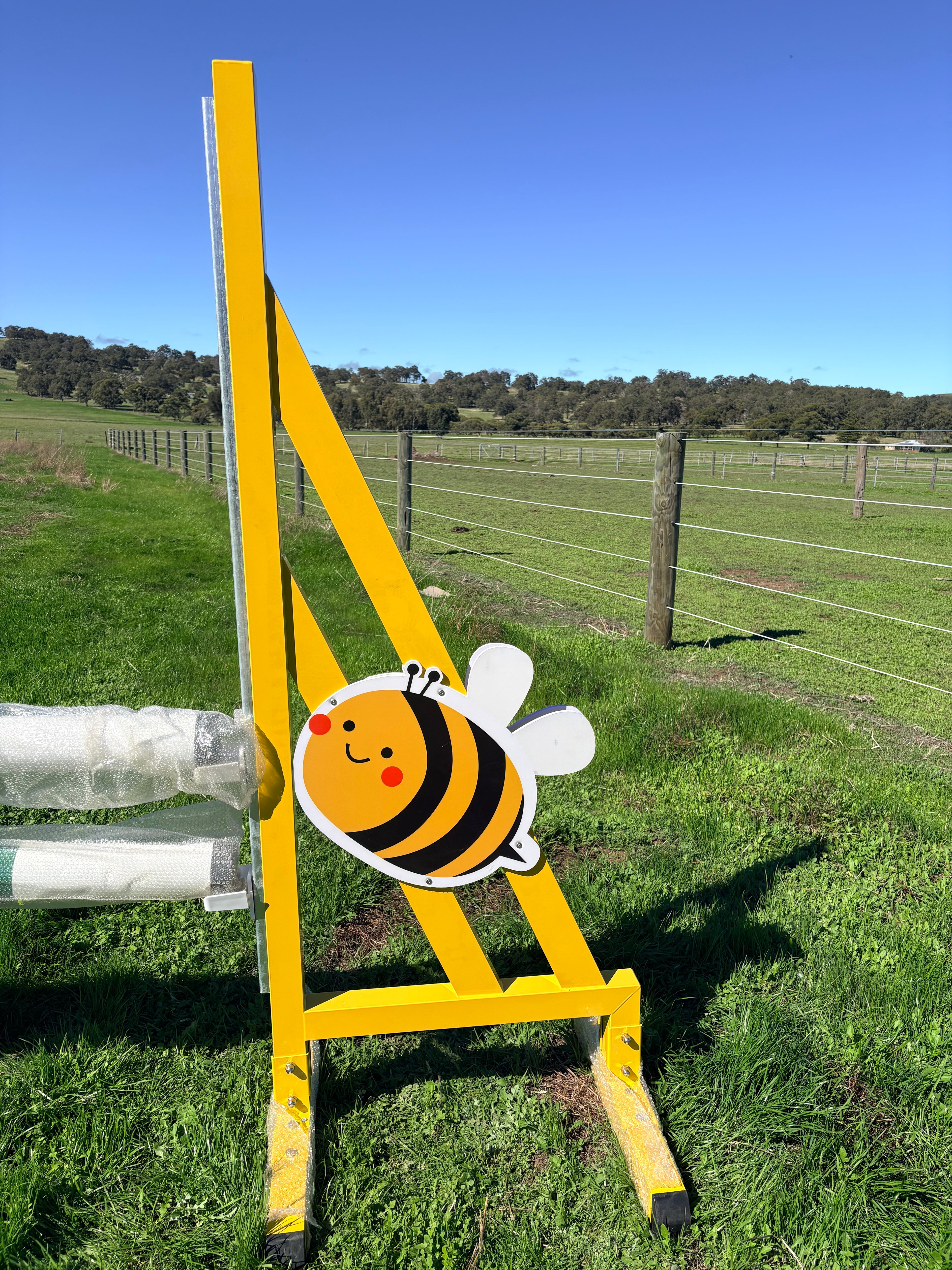 Bee wings only