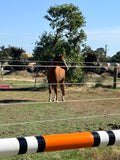 PVC Wooden Poles - 3.5 m