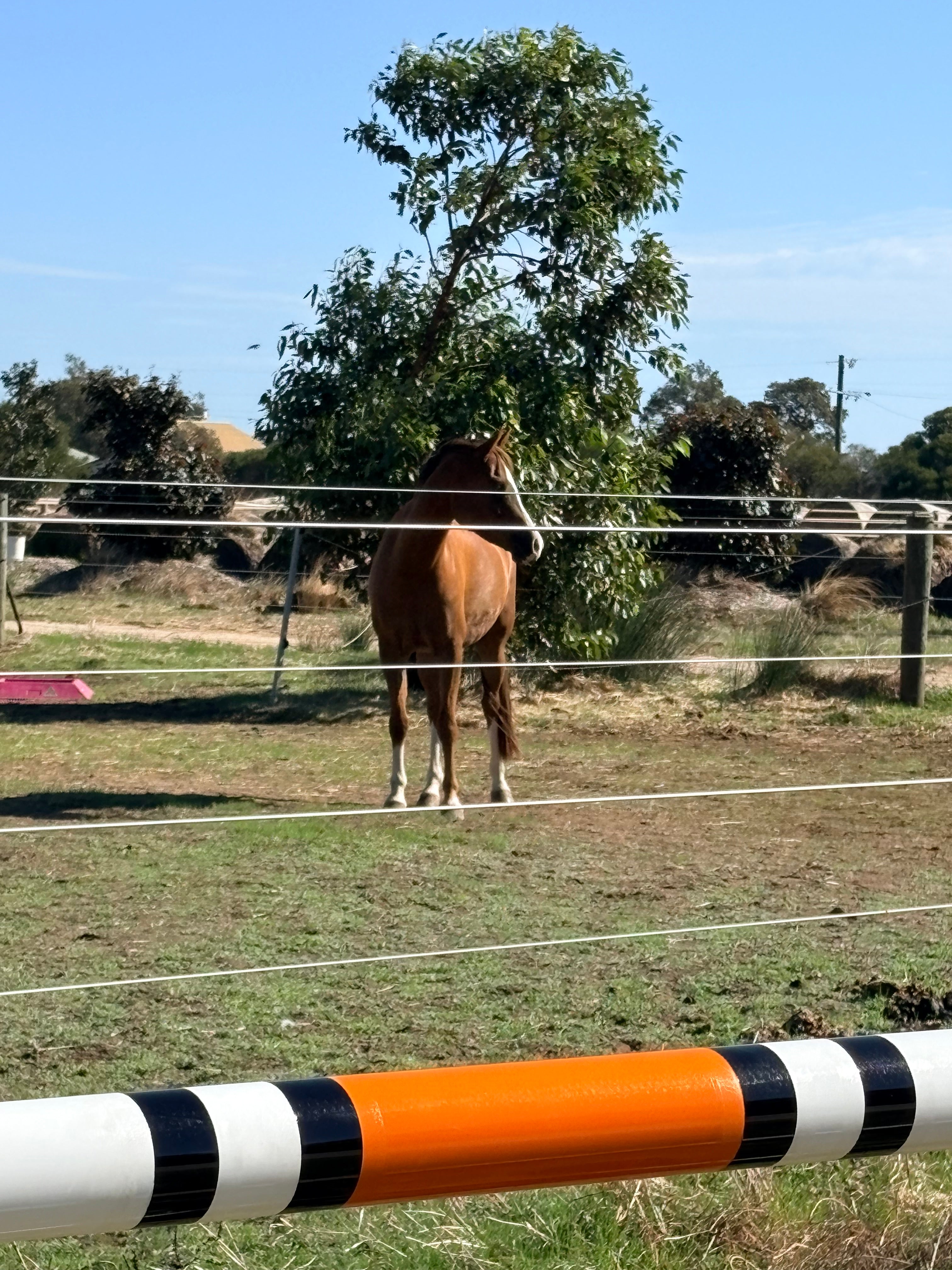 PVC Wooden Poles - 3.5 m