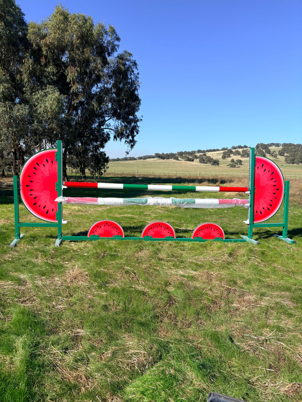 Watermelon full set with plank