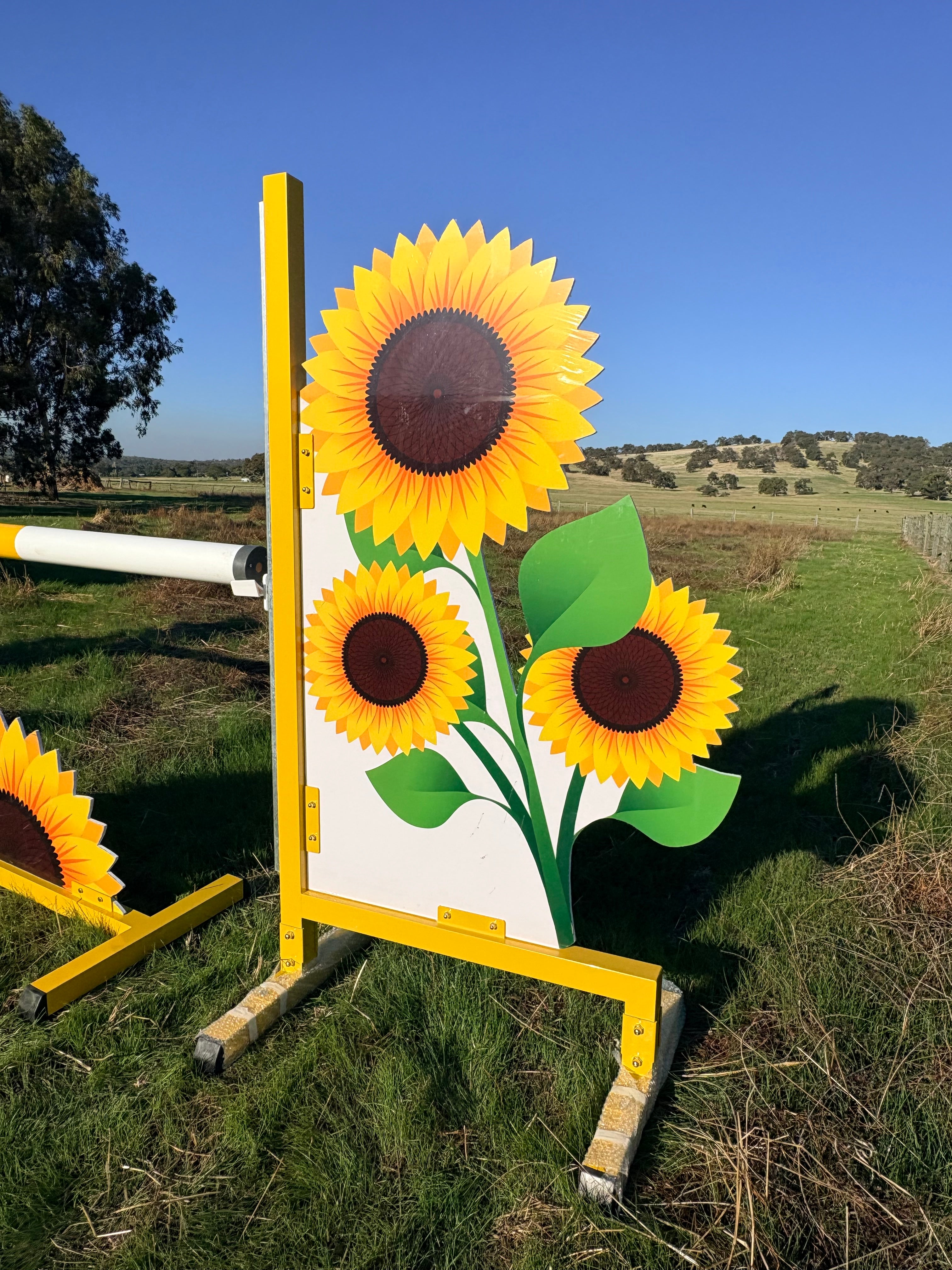 Sunflower full set jump