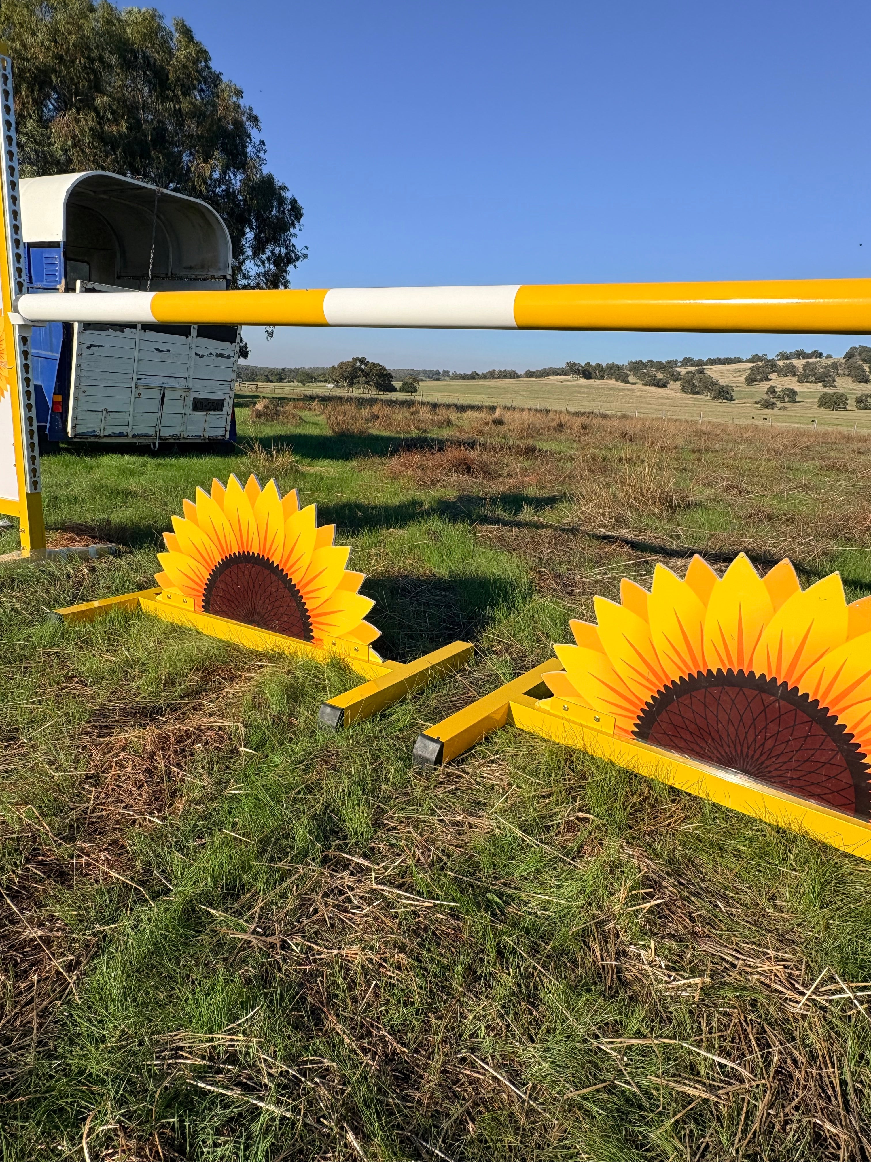 Sunflower full set jump