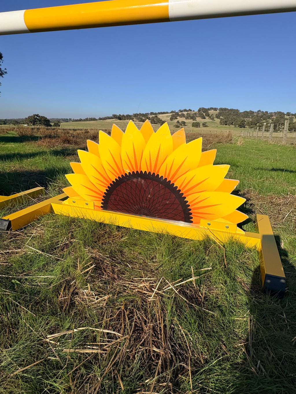 Sunflower full set jump